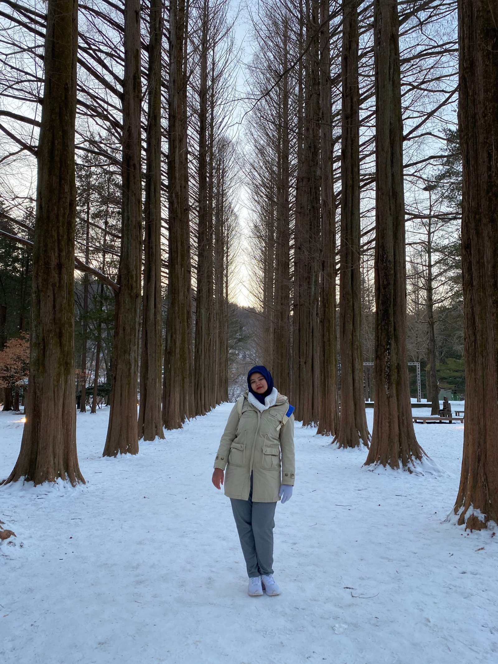 International Trip South Korean